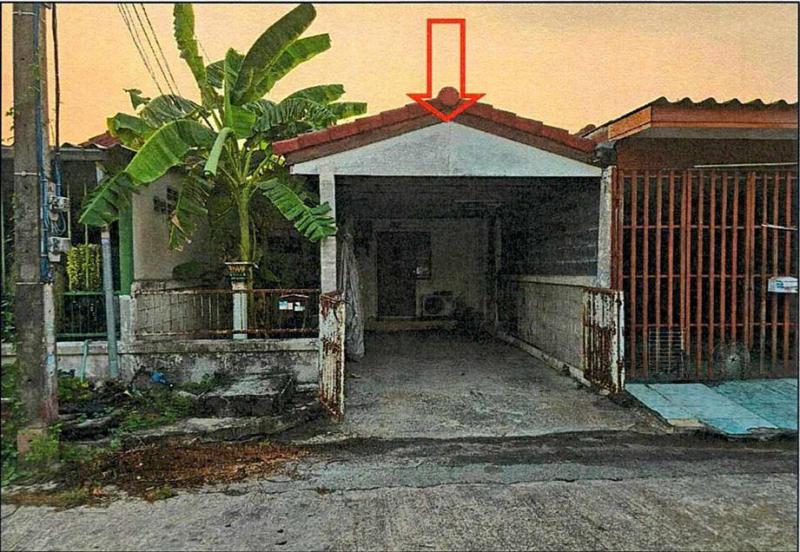 ลำผักกูด(คลองฝั่งใต้) ธัญบุรี ปทุมธานี