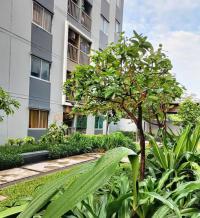 https://pathumthani.ohoproperty.com/212609/ธนาคารอาคารสงเคราะห์/ขายคอนโด/รังสิต/ธัญบุรี/ปทุมธานี/