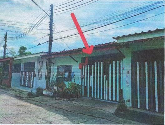 ลำผักกูด(คลองรังสิตฝั่งใต้) ธัญบุรี ปทุมธานี