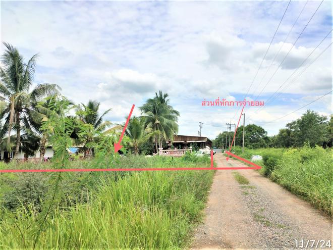 บึงกาสาม หนองเสือ ปทุมธานี