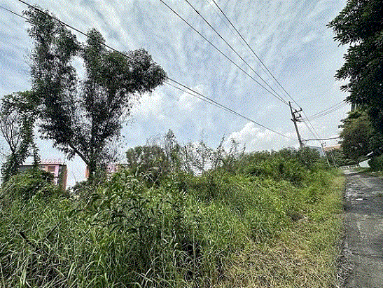 ที่ดินหลุดจำนอง ธ.ธนาคารกรุงเทพ คลองหนึ่ง คลองหลวง ปทุมธานี