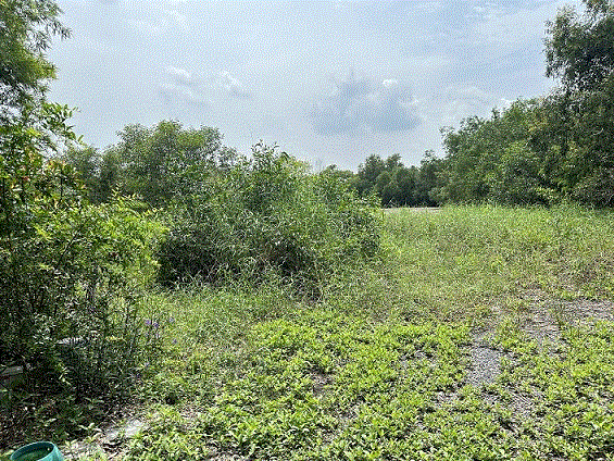 ที่ดินหลุดจำนอง ธ.ธนาคารกรุงเทพ คลองหนึ่ง คลองหลวง ปทุมธานี