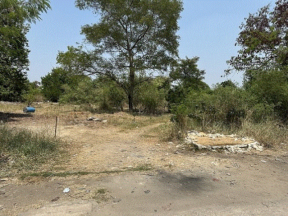 https://pathumthani.ohoproperty.com/202687/ธนาคารกรุงเทพ/ขายที่ดิน/สามโคก/สามโคก/ปทุมธานี/